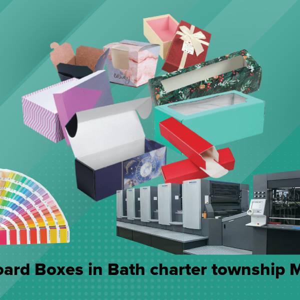 Cardboard boxes in bath charter township mi