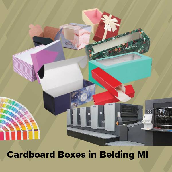 Cardboard boxes in belding mi