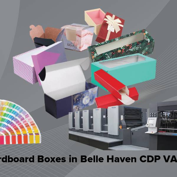Cardboard boxes in belle haven cdp va