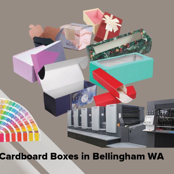 Cardboard boxes in bellingham wa