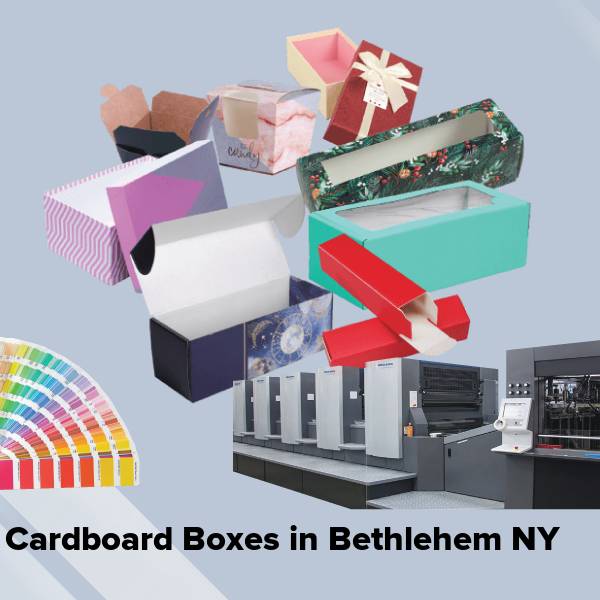 Cardboard boxes in bethlehem ny