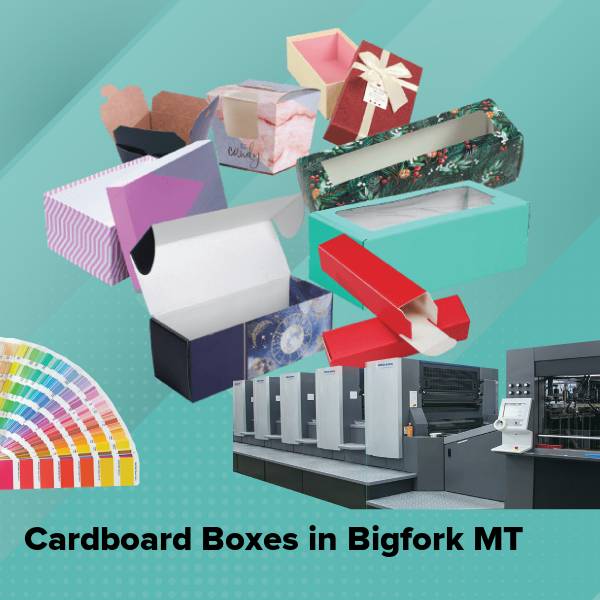 Cardboard boxes in bigfork mt