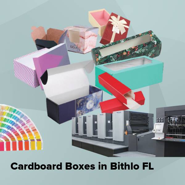 Cardboard boxes in bithlo fl