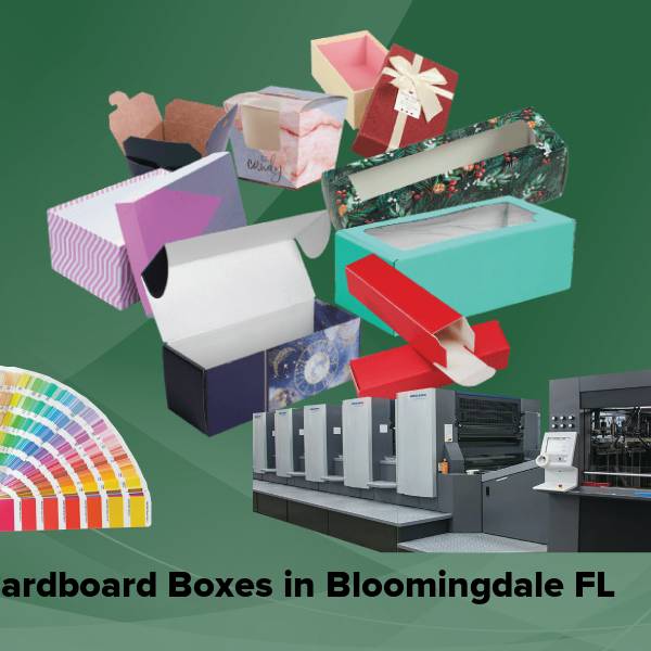 Cardboard boxes in bloomingdale fl