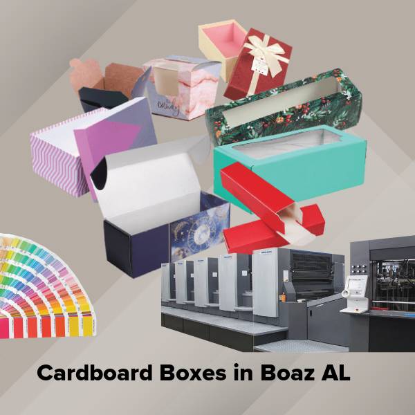 Cardboard boxes in boaz al