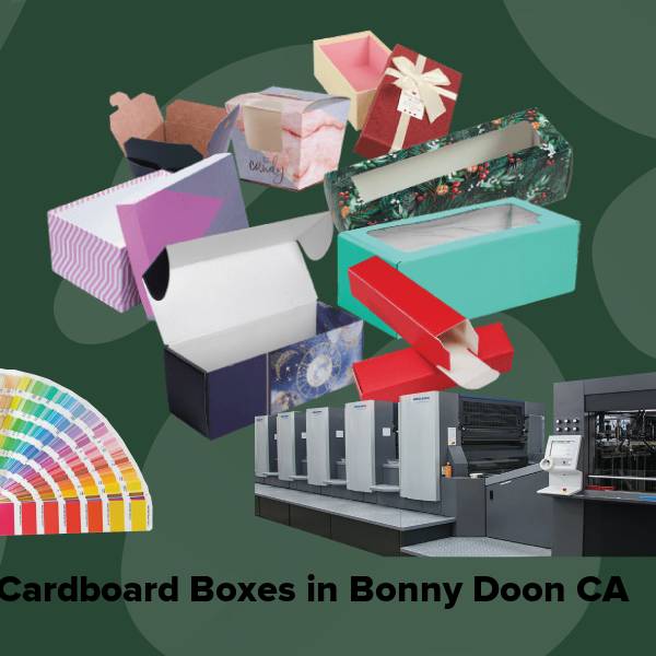 Cardboard boxes in bonny doon ca