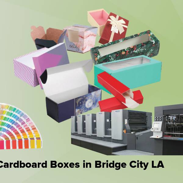 Cardboard boxes in bridge city la
