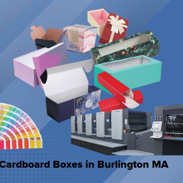 Cardboard boxes in burlington ma