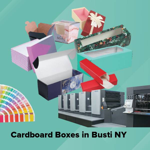 Cardboard boxes in busti ny