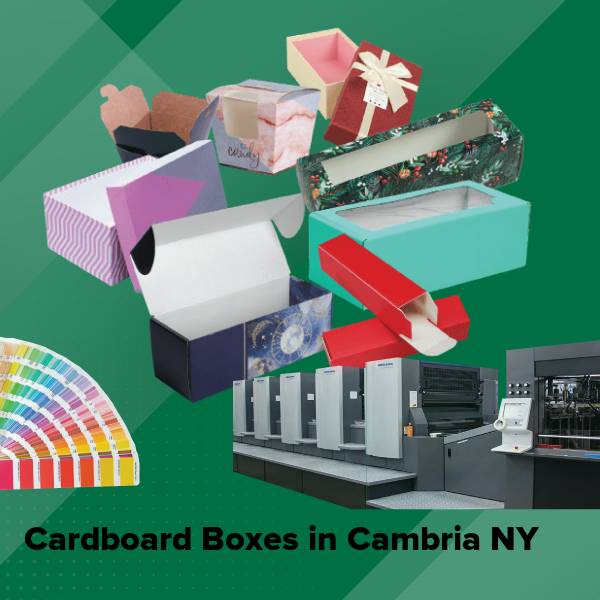 Cardboard boxes in cambria ny