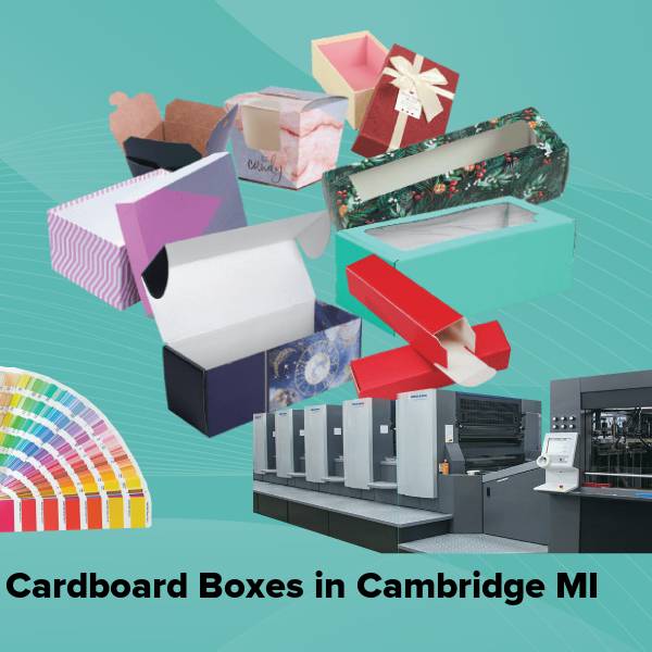 Cardboard boxes in cambridge mi