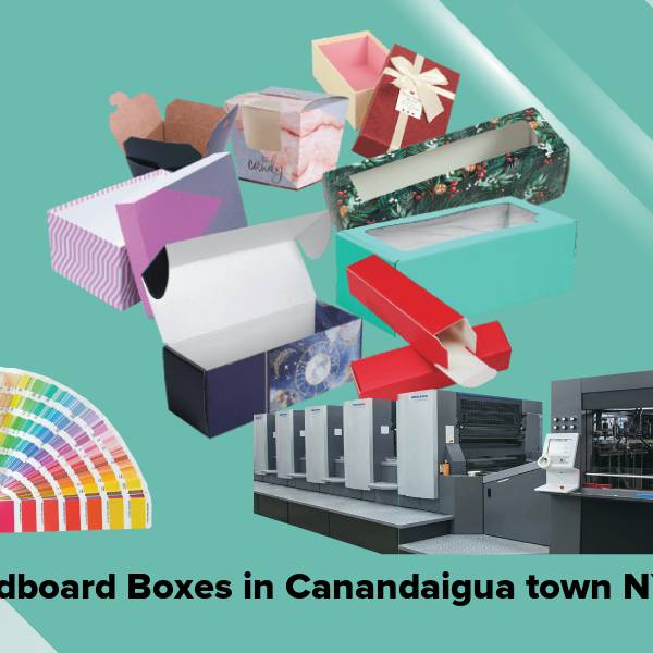 Cardboard boxes in canandaigua town ny