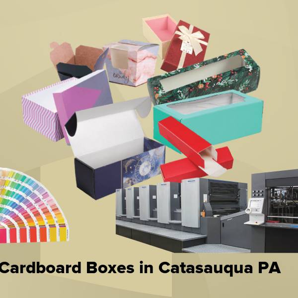 Cardboard boxes in catasauqua pa