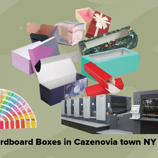 Cardboard boxes in cazenovia town ny