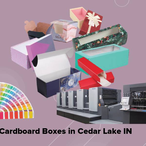 Cardboard boxes in cedar lake in