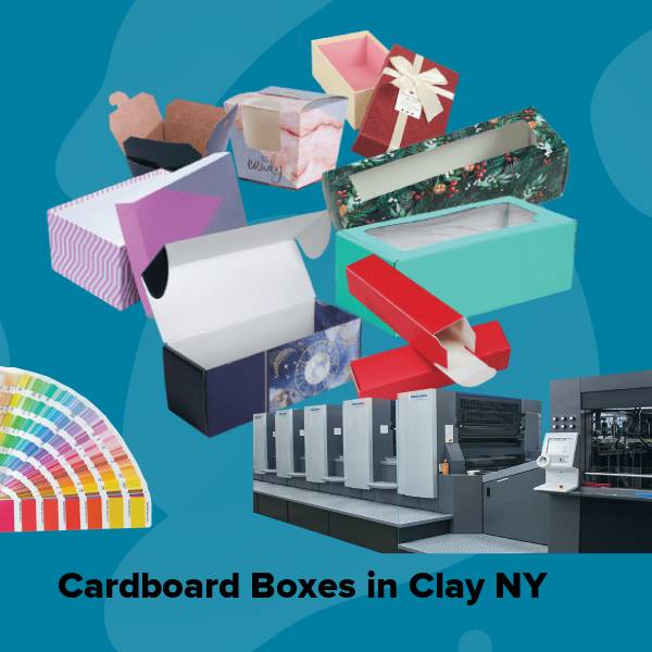 Cardboard boxes in clay ny