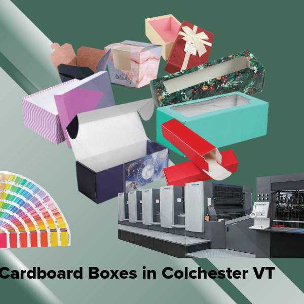 Cardboard boxes in colchester vt