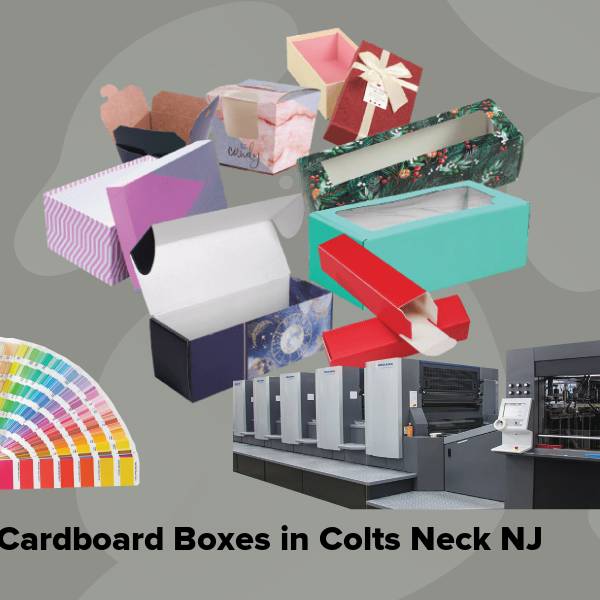 Cardboard boxes in colts neck nj