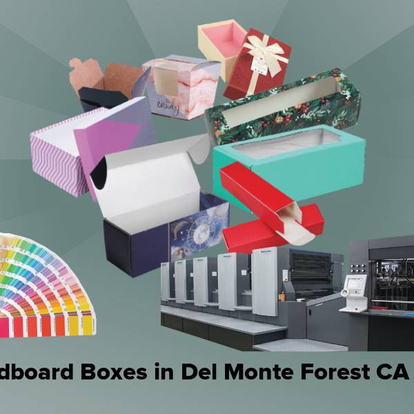 Cardboard boxes in del monte forest ca
