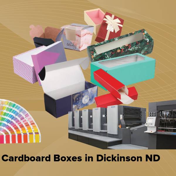 Cardboard boxes in dickinson nd