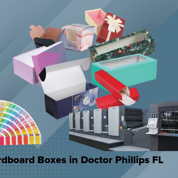 Cardboard boxes in doctor phillips fl
