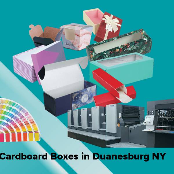 Cardboard boxes in duanesburg ny