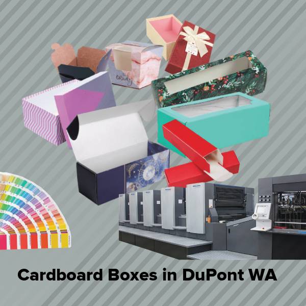 Cardboard boxes in dupont wa