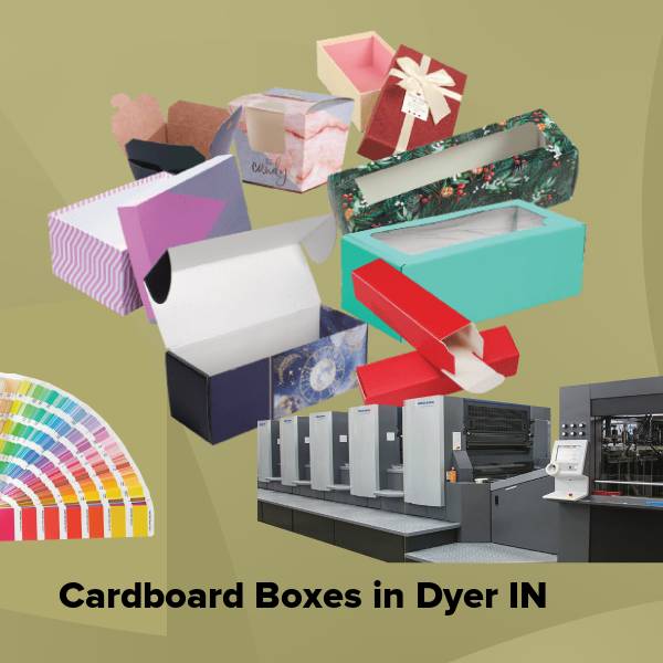 Cardboard boxes in dyer in