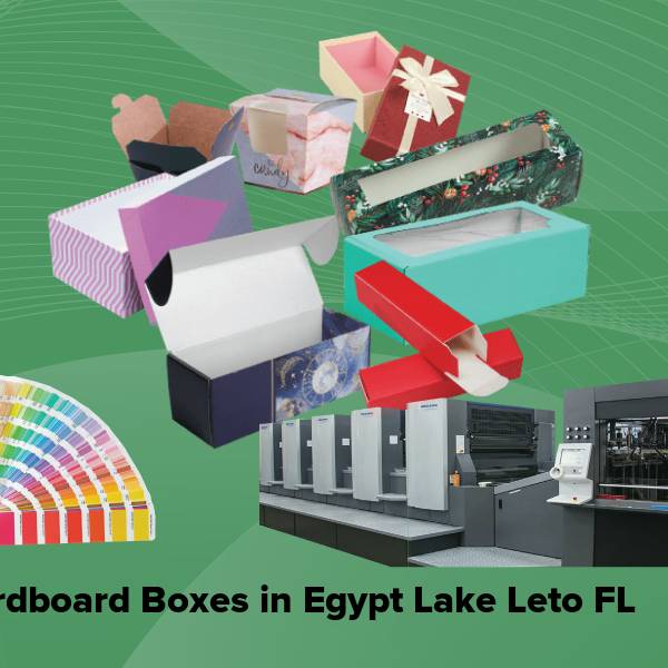 Cardboard boxes in egypt lake leto fl