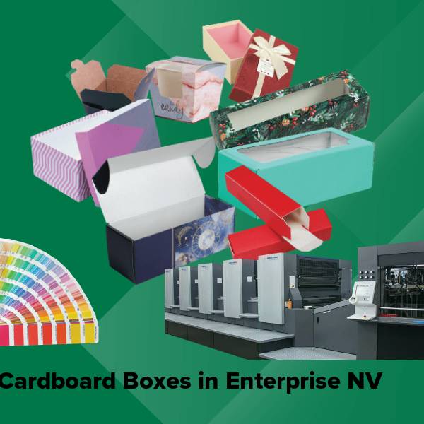 Cardboard boxes in enterprise nv