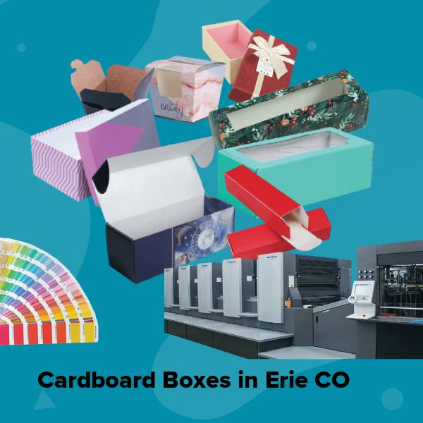 Cardboard boxes in erie co