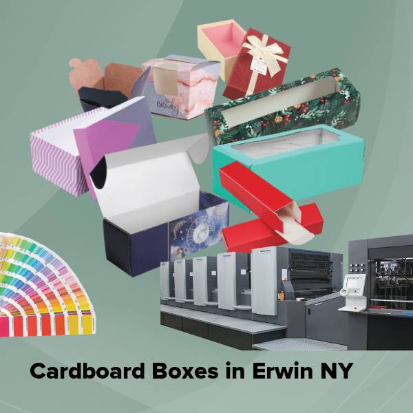 Cardboard boxes in erwin ny