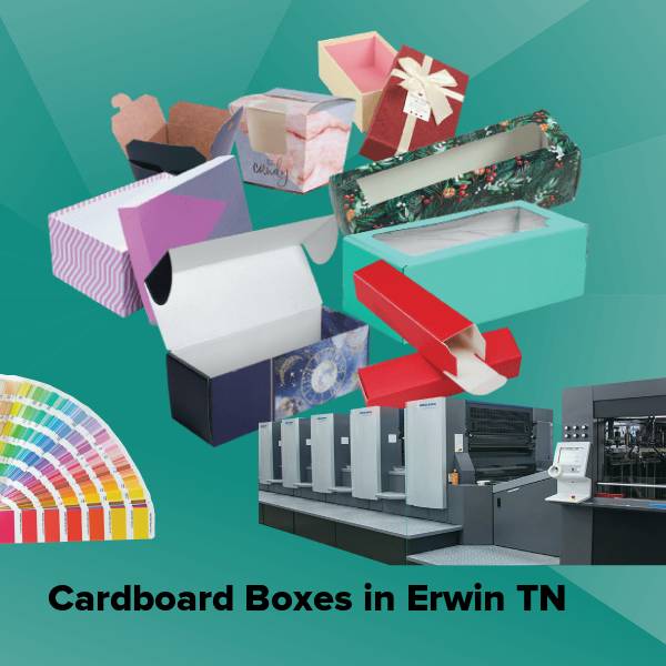 Cardboard boxes in erwin tn