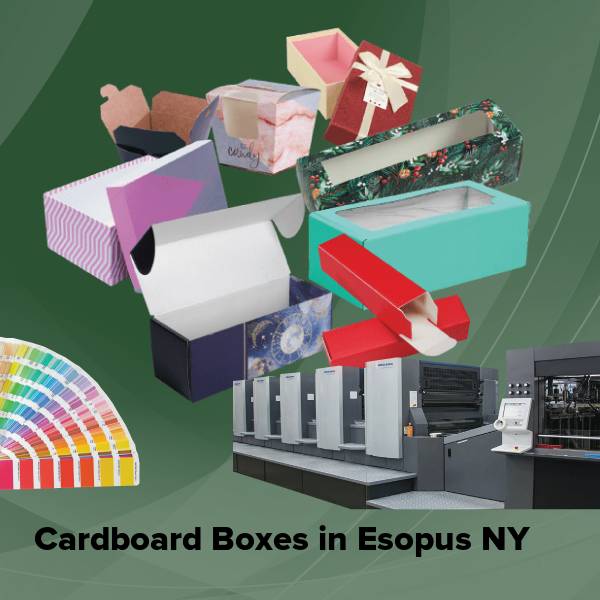 Cardboard boxes in esopus ny