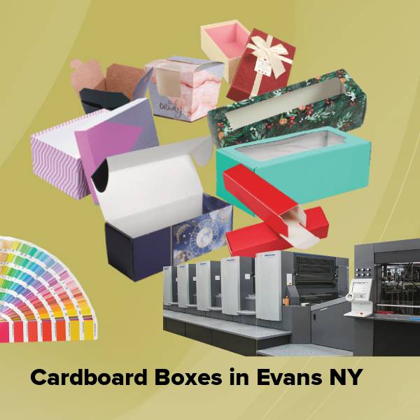Cardboard boxes in evans ny