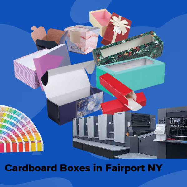 Cardboard boxes in fairport ny