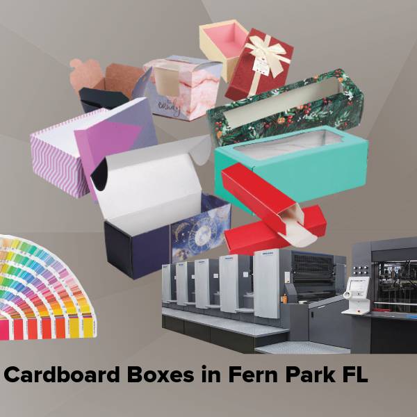 Cardboard boxes in fern park fl