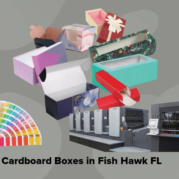 Cardboard boxes in fish hawk fl