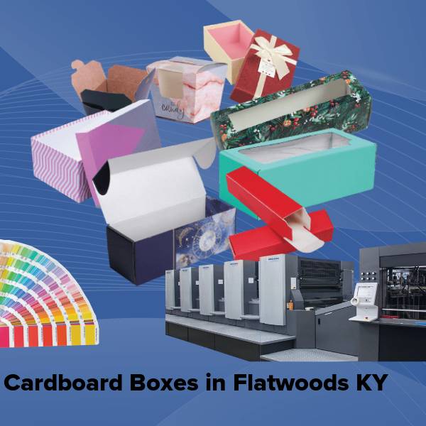Cardboard boxes in flatwoods ky