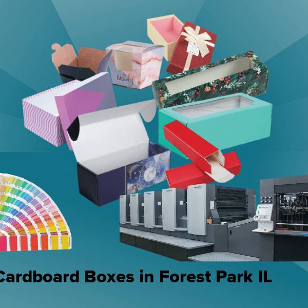 Cardboard boxes in forest park il