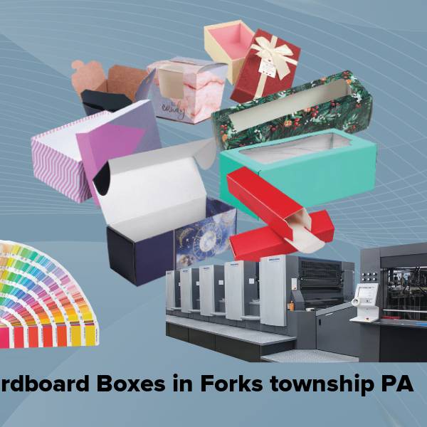 Cardboard boxes in forks township pa