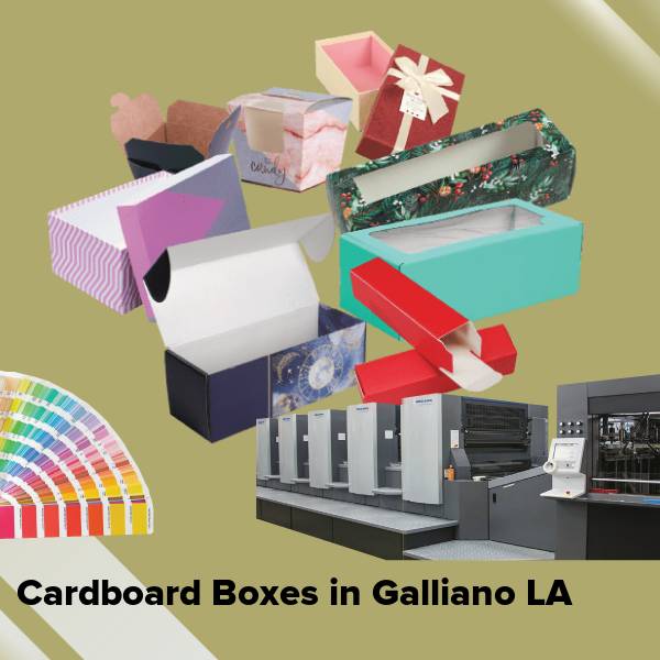 Cardboard boxes in galliano la