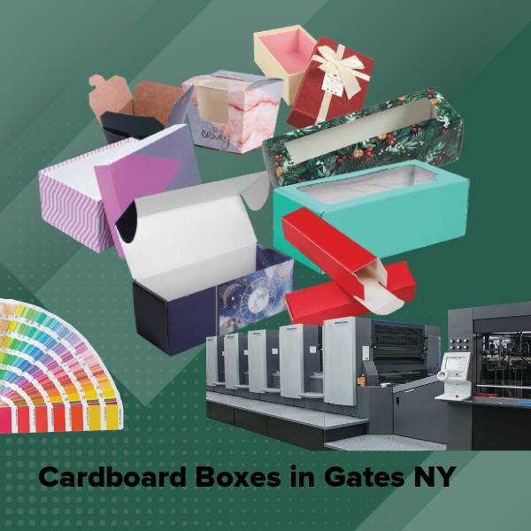 Cardboard boxes in gates ny
