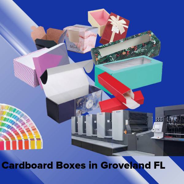 Cardboard boxes in groveland fl