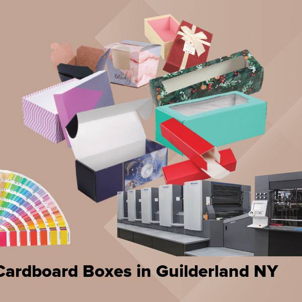 Cardboard boxes in guilderland ny