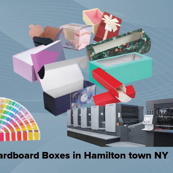 Cardboard boxes in hamilton town ny