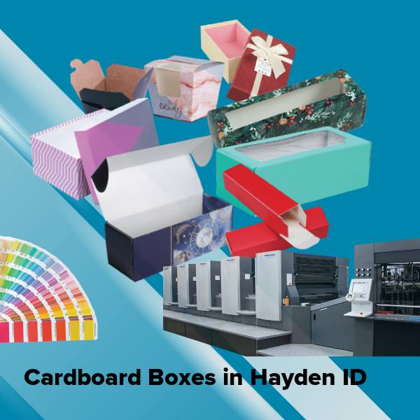 Cardboard boxes in hayden id