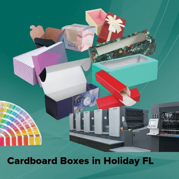 Cardboard boxes in holiday fl