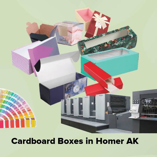 Cardboard boxes in homer ak