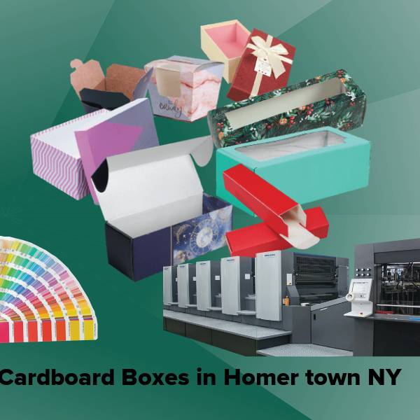 Cardboard boxes in homer town ny